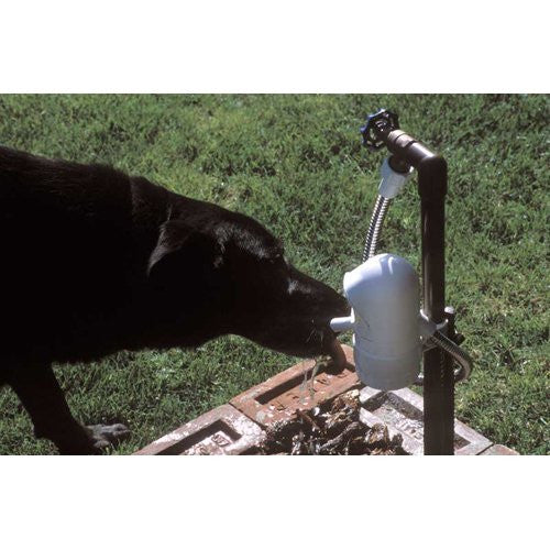 Water Dog Auto Outdoor Drinking Fountain