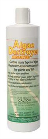 API Algae Destroyer Advanced 16oz bottle
