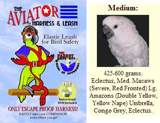 Aviator Harness and Leash Medium Silver