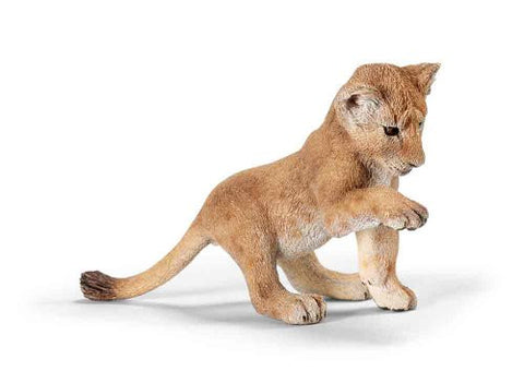 Lion cub, playing