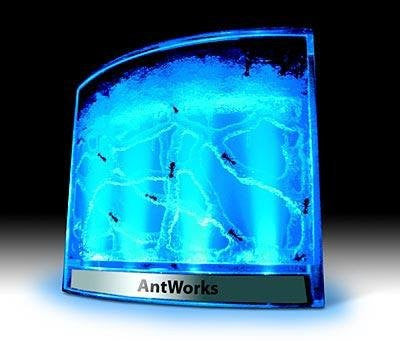 AntWorks Illuminated