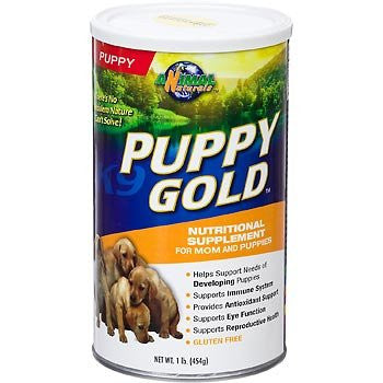 Animal Naturals K9 Puppy Gold -- 1 lb
