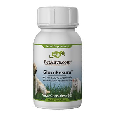 GlucoEnsure from PetAlive