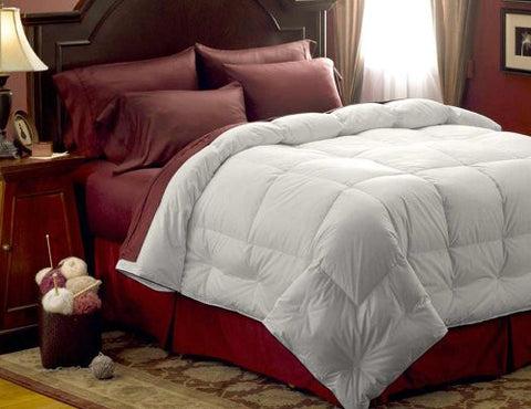 Pacific Coast Feather Medium Warmth Down Comforter - King