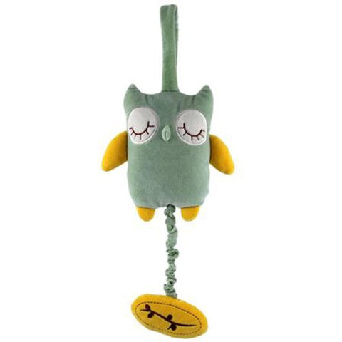 Musical Pull Toy - Green Owl