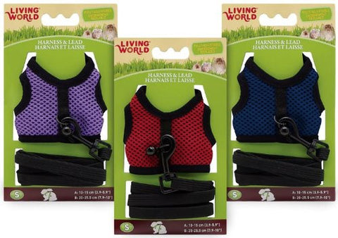 Living World Harness/Lead Set, Small, Assorted Colors