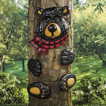Black Bear Tree Hugger