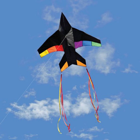 Jet Plane Kite (Rainbow)