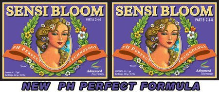 pH Perfect Bloom 1L
