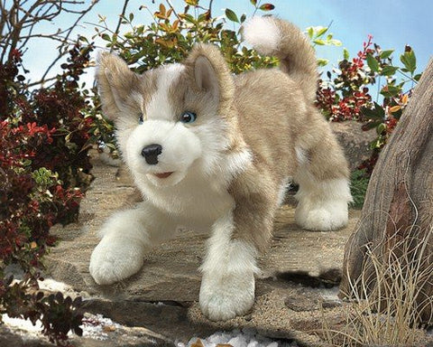 Wolf Pup, Newest Puppets