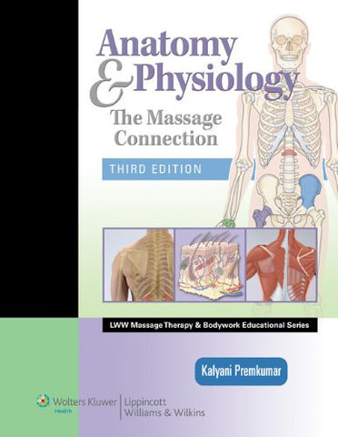 Anatomy & Physiology: The Massage Connection (Hardcover)