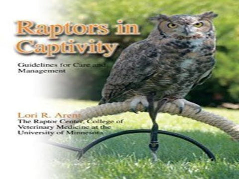 Raptors in Captivity: Guidelines for Care and Management