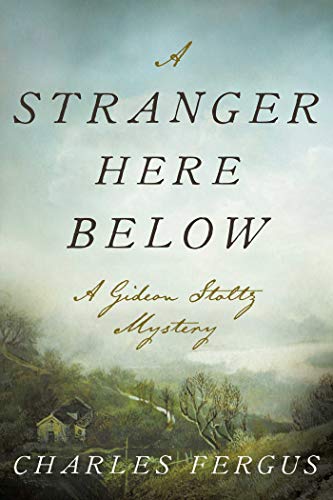 A Stranger Here Below: A Gideon Stoltz Mystery (Hardcover)