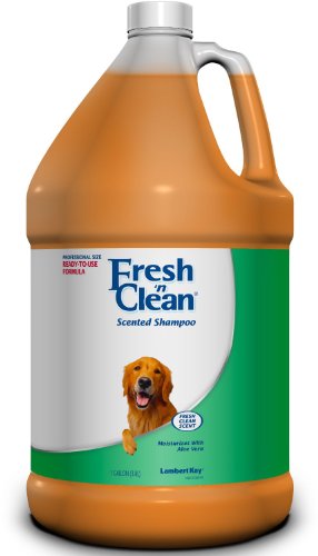 Fresh 'n Clean Scented Shampoos - 1-Gallon