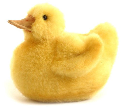 DUCK CHICK   5''
