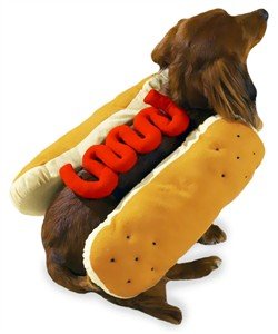 Casual Canine Hot Diggity Dog Costumes - Ketchup, Small