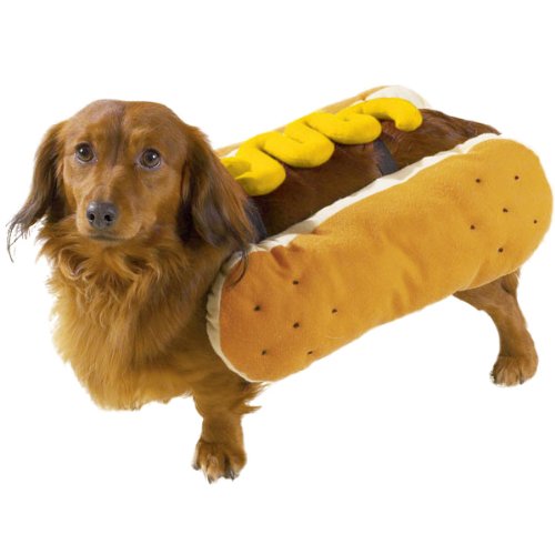 Casual Canine Hot Diggity Dog Costumes - Mustard, Large