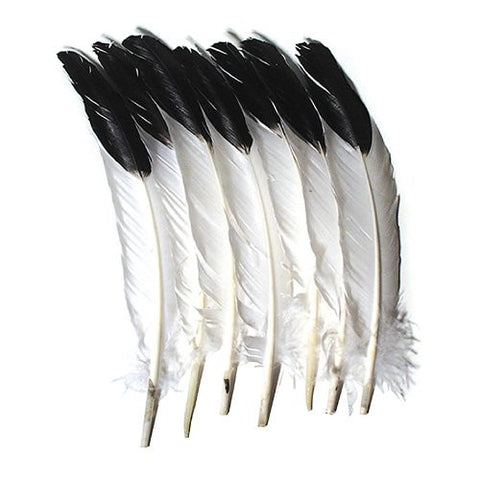 Imitation Eagle Quill Feathers - 12 Pcs