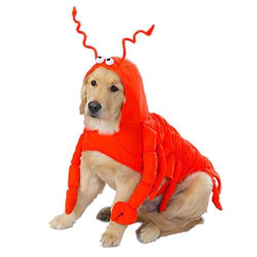 Casual Canine Lobster Paws Dog Costumes - Medium