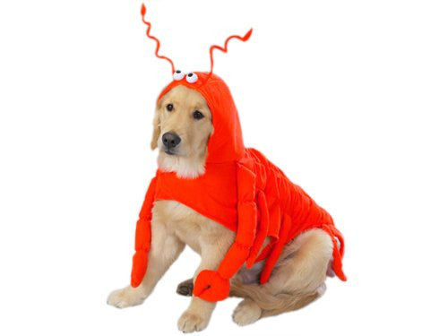 Casual Canine Lobster Paws Dog Costumes - Small