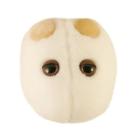 Giant Microbes Beer & Bread (Saccharomyces cerevisiae) Plush Toy