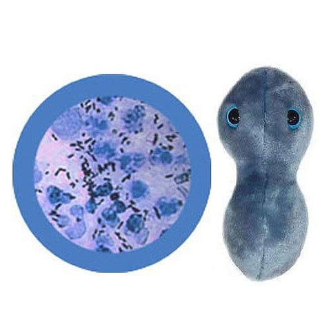 Giant Microbes Clap - Gonorrhea (Neisseria gonorrhoeae) Plush Toy