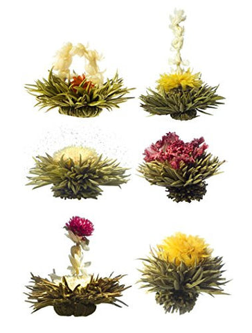 Medley Bloominb Tea (6 variety)