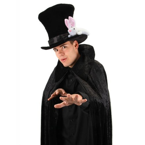 magician with rabbit