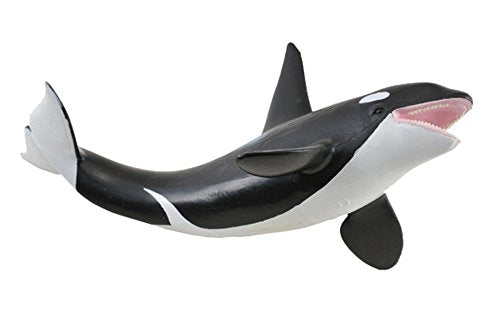 Sea Life - Orca
