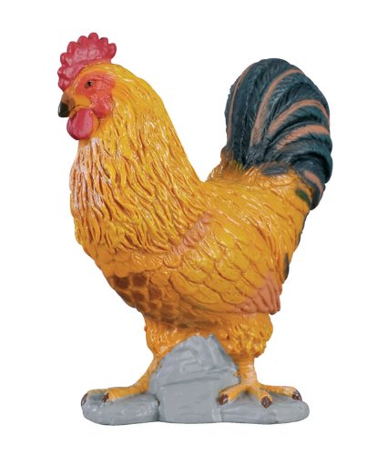 Cockerel, S