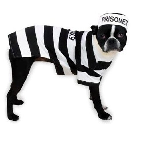Casual Canine Prison Pooch Costumes - X-Small