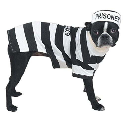 Casual Canine Prison Pooch Costumes - X-Large