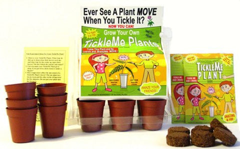 TickleMe Plant Greenhouse