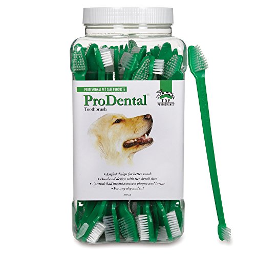 Top Performance Prodental Dual End Toothbrushes