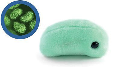 Giant Microbes Flu (Orthomyxovirus) Petri Dish