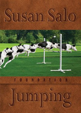 Foundation Jumping (2009)