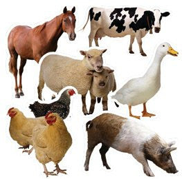 Bulletin Board Accents, Farm Animals