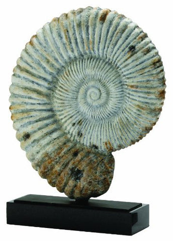 Fossil Sculpture, Painted Iron/Black Marble