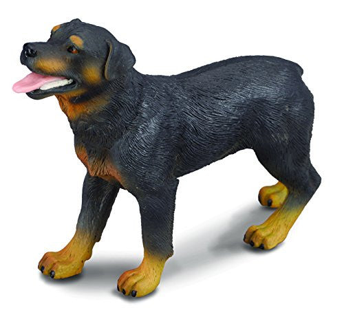 Rottweiler, L