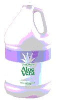 Aloe Vera Lotion w/ Lavender - Gallon