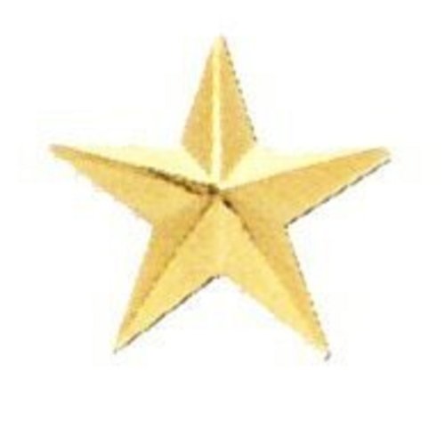Insignia - Single Star - Smooth - Gold, Large, 2/pk