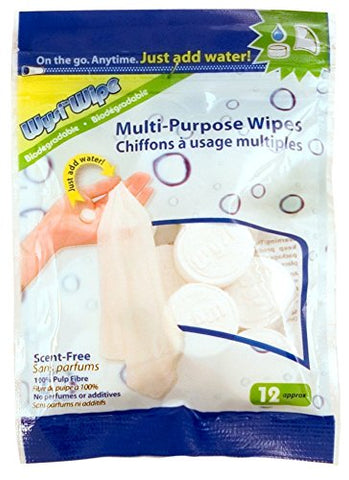 Wysi Wipes Biodegradable Wipes 12pcs/pack (not in pricelist)