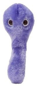 Giant Microbes C. Diff (Clostridium difficile) Plush Toy