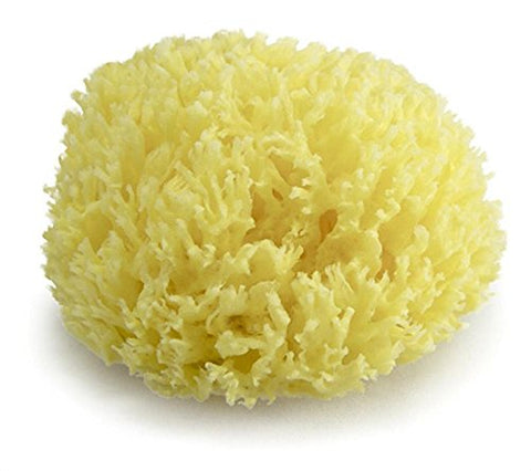 Bath Sponge 4.5" (bulk)