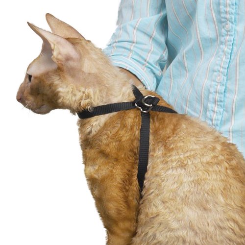 Top Performance Adjustable Nylon Cat Harness