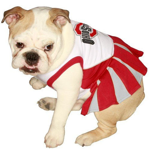 Ohio State Buckeyes Cheerleader Dog Dress, medium