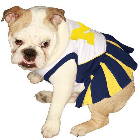 Michigan Wolverines Cheerleader Dog Dress, x-small