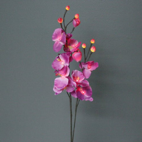 Pink Orchid 16 Light