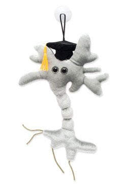 Giant Microbes Graduation Brain Cell Plush Doll (Neuron)