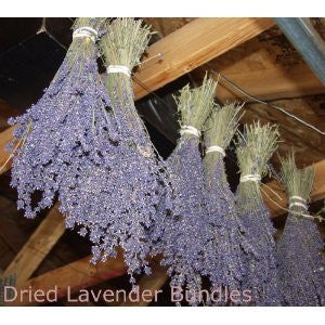 Lavender Bundles (#2)